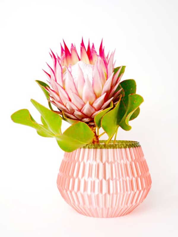 Multifaceted Pot - Design Hunt